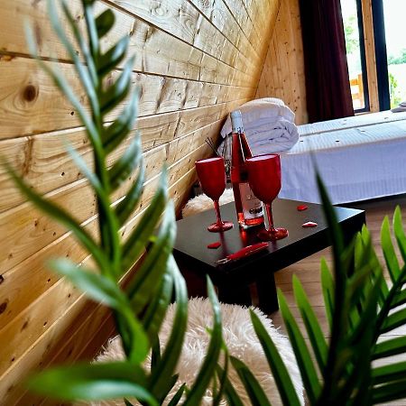 A-Frame Bucovina- Paradis Bucovinean Capu Cimpului Экстерьер фото