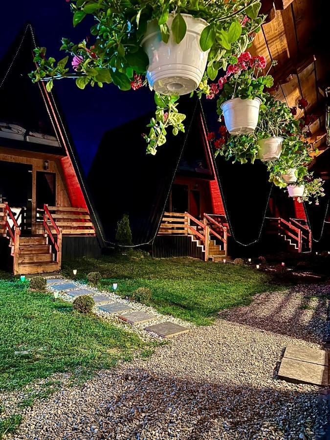 A-Frame Bucovina- Paradis Bucovinean Capu Cimpului Экстерьер фото