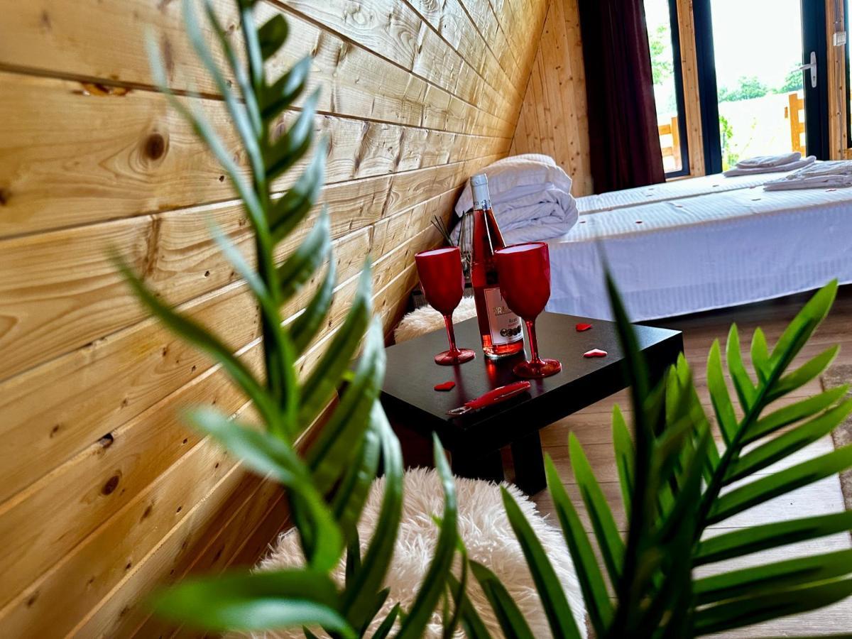 A-Frame Bucovina- Paradis Bucovinean Capu Cimpului Экстерьер фото